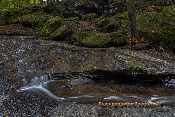 06550aH 09 2021 Kopperhead