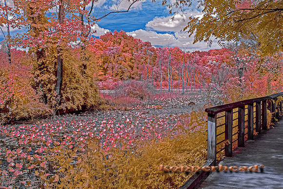 70467ir 09 2021 Kopperhead