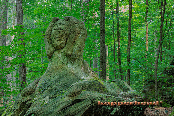 67705 07 2023 Kopperhead