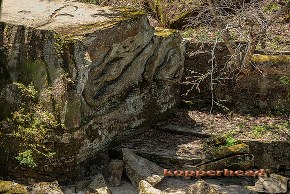 39286 05 2022 Kopperhead