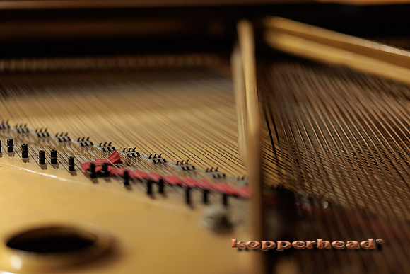 52301 11 2022 Kopperhead