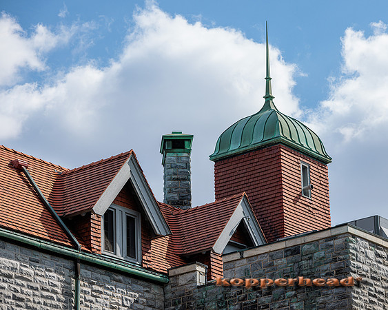 59502 03 2023 Kopperhead
