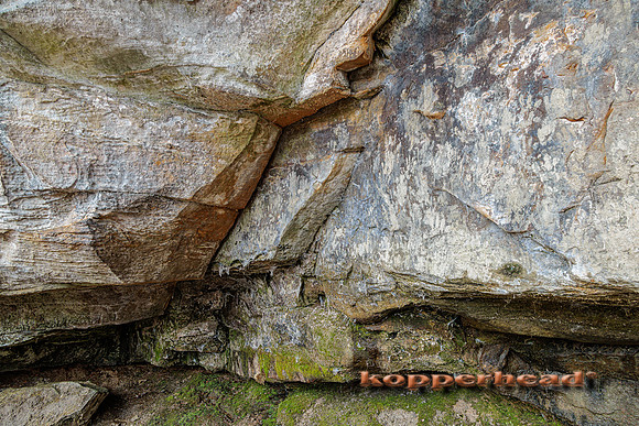 60287 03 2023 Kopperhead