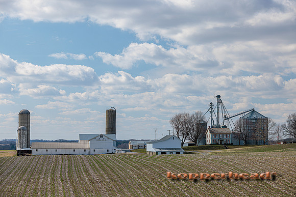 59544 03 2023 Kopperhead