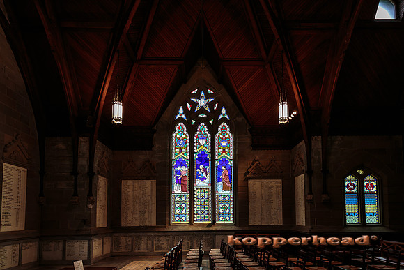 19696 05 2014 Kopperhead
