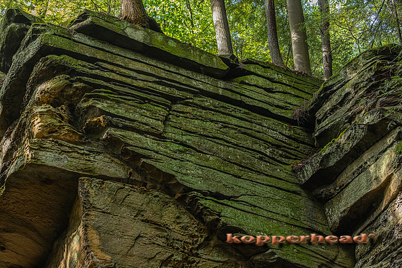 13200 08 2021 Kopperhead