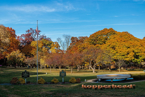 51709 10 2022 Kopperhead