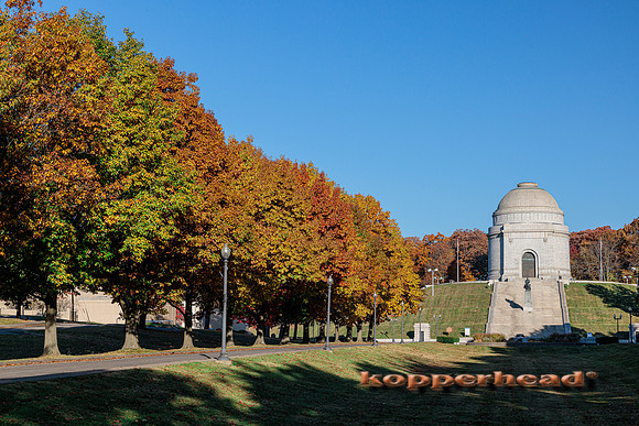 51583 10 2022 Kopperhead
