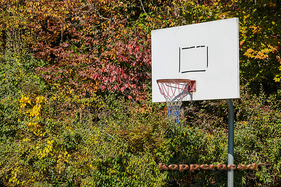 50924 10 2022 Kopperhead