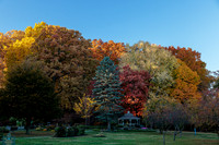 Canton, OH Area