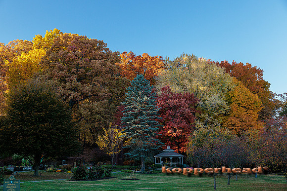 51552 10 2022 Kopperhead