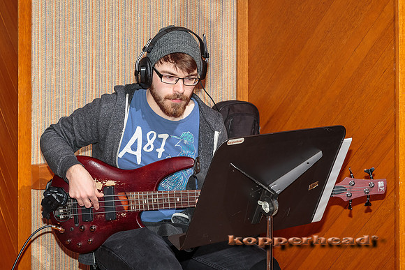 30048 02 2015 Kopperhead