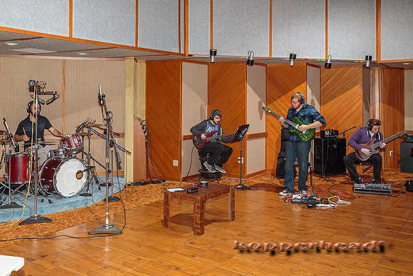 30057 02 2015 Kopperhead