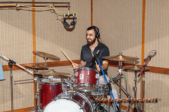 30054 02 2015 Kopperhead
