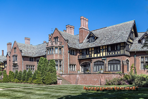 09829 06 2021 Kopperhead
