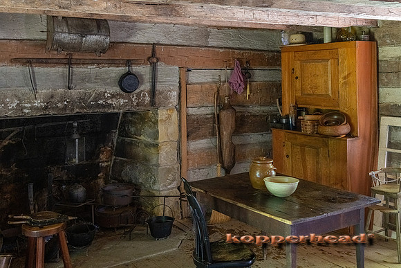 09366 06 2021 Kopperhead