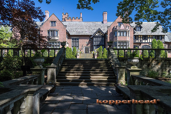 09844 06 2021 Kopperhead