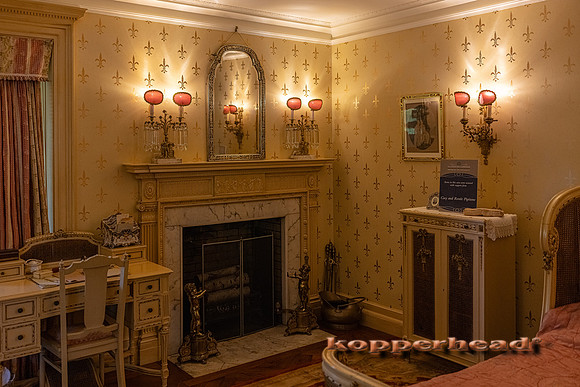 09824 06 2021 Kopperhead