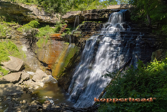 09545 06 2021 Kopperhead
