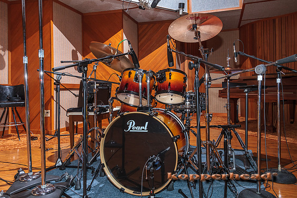 56893 11 2012 Kopperhead