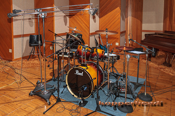 56882 11 2012 Kopperhead-2