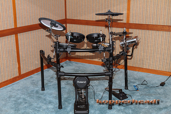 56891 11 2012 Kopperhead