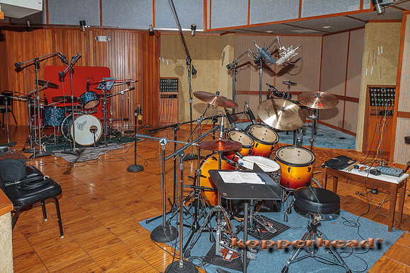 56886 11 2012 Kopperhead