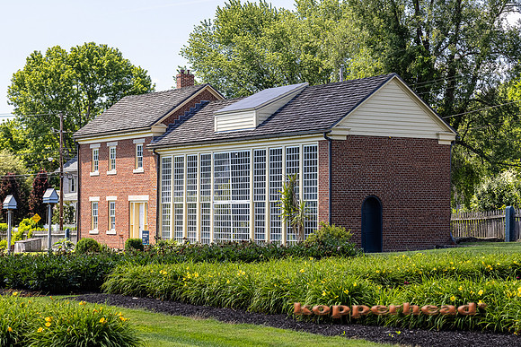 09360 06 2021 Kopperhead