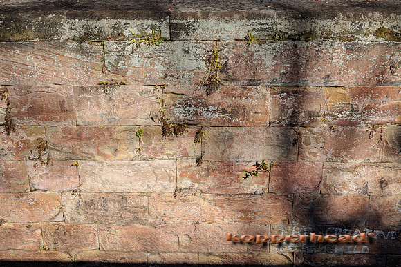 51531 10 2022 Kopperhead
