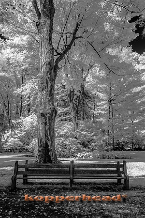 69953ir 09 2016 Kopperhead