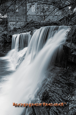 09903h 05 2023 Kopperhead-2