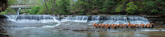09870p 05 2023 Kopperhead