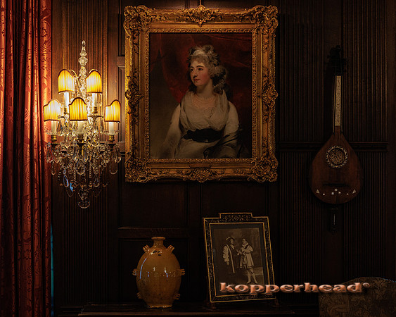 50134 09 2022 Kopperhead