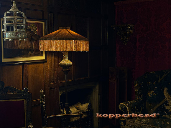 01863 14pm 09 2022 Kopperhead