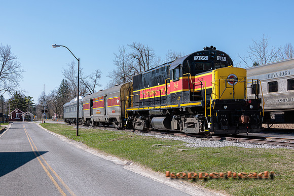 61452 04 2023 Kopperhead