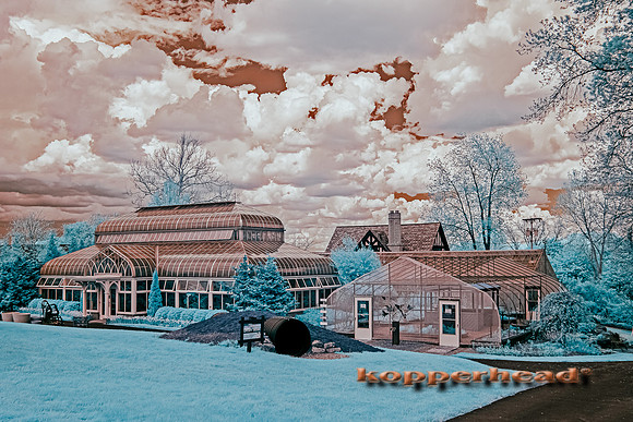 70496ir 05 2022 Kopperhead