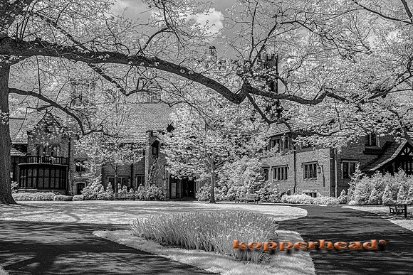 70477ir 05 2022 Kopperhead