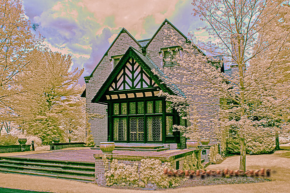 70479ir 05 2022 Kopperhead