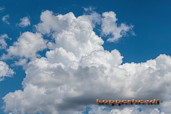 39871 05 2022 Kopperhead