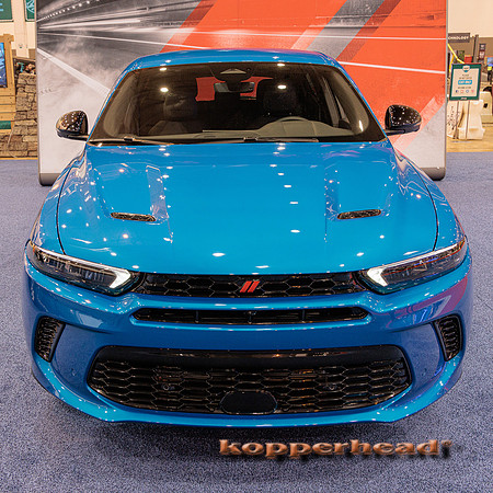 59420 03 2023 Kopperhead