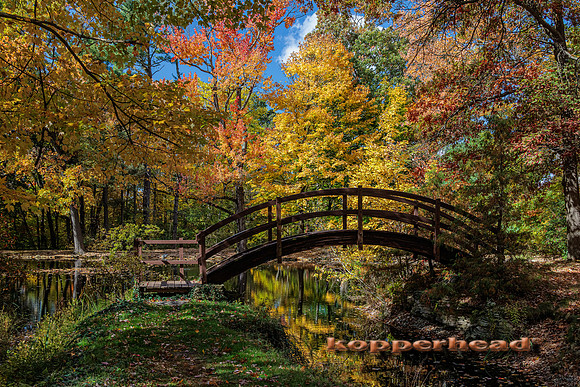 51043 10 2022 Kopperhead