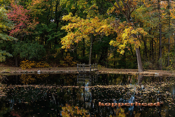 51044 10 2022 Kopperhead