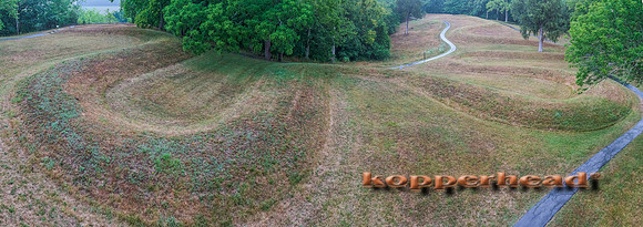 49793p 07 2012 Kopperhead