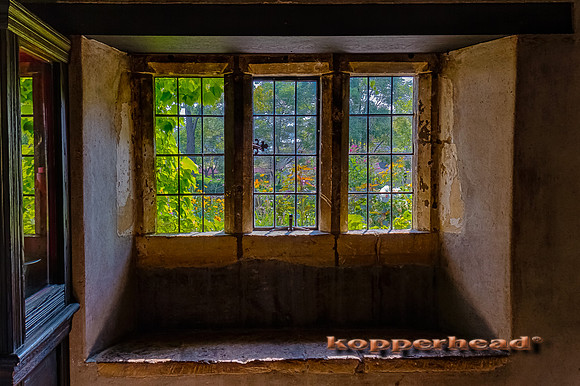 50236h 07 2012 Kopperhead