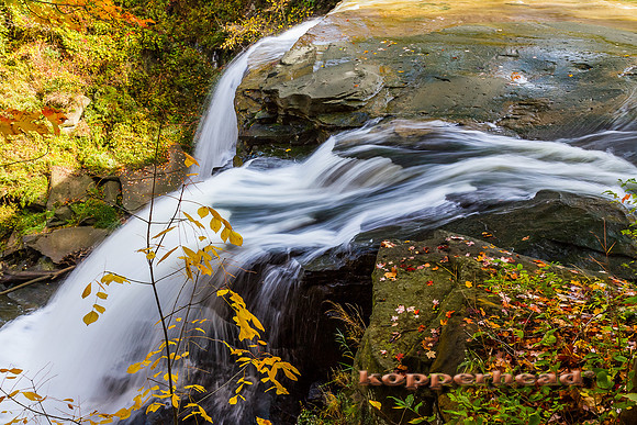 56067 10 2012 Kopperhead