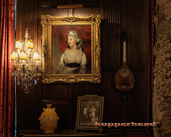 114703 09 2025 Kopperhead
