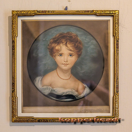 114732 09 2025 Kopperhead