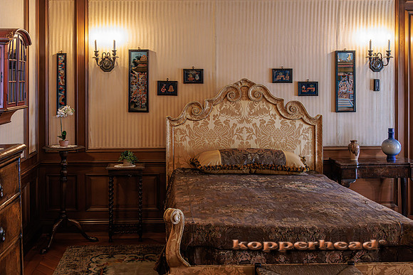 114733 09 2025 Kopperhead