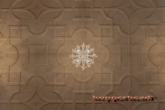 114832 09 2025 Kopperhead