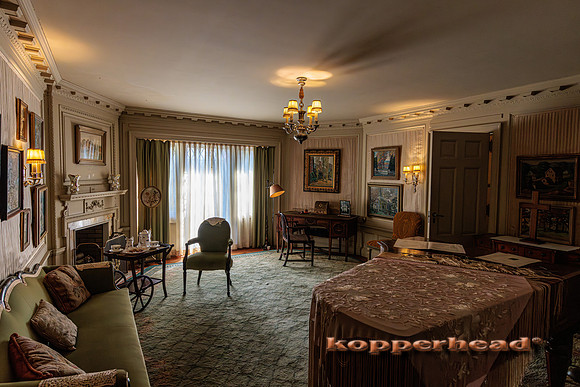 114873 09 2025 Kopperhead